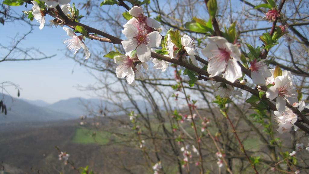 Il Mio Rifugio Affittacamere Gaggio Montano Esterno foto